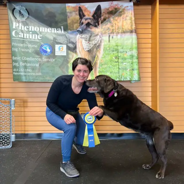 Lucy earned her @americankennelclub Intermediate Trick Dog Title this weekend! 

We got novice in 2020 and have been working on intermediate for the last year or so. Huge thanks to Selena @phenomenal.canine for giving us the push to get it… and work towards Advanced next!! 

Lucy is 11 years old and loves to learn new things 🥰 

Go play with your dog! 😀