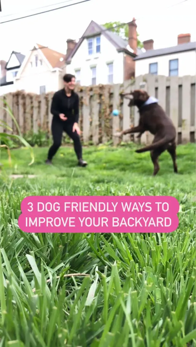 I recently discovered @earthsally weed and grass killer. It’s a game changer if you want a beautiful yard and also want to keep your fur babies safe! 🐾 #ad

Since I won’t use harsh chemicals, last summer I tried digging weeds out by hand. But that takes time away from doing fun things with Burt and Lucy! 

With @earthsally, you just add water and saturate the weeds. 🌱 Mine were gone within about 12 hours. It’s powered by sea salt to kill weeds down to the root. The full ingredient list is right on the label, which I appreciate. You know I’m a label reader! 

It’s safe to use around pets, people and the planet when used as directed. 🌎 So I can feel good about running and rolling around in the grass all summer!  #petsafe #EarthsAllyFam #EarthsAlly