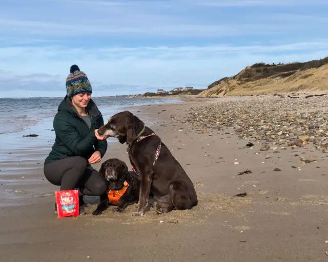 10 hours in the car, 3 miles hiking, and 1 bag of @stellaandchewys Wild Weenies! 😍 It was all worth it to treat Burt and Lucy on the beach over Thanksgiving weekend! #ad

I'm always talking about the ingredients of our favorite treats, but can I take a moment to appreciate the packaging? I love that this bag is resealable and recyclable! 

#stellaandchewys #dogsofcapecod #thankfulfordogs