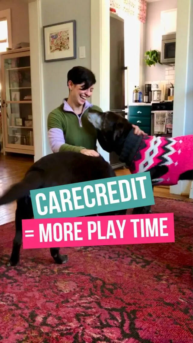 Raise your hand 🙋🏻‍♀️ if you would rather have fun with your dog VS. stress about how to pay for their vet bills. Is your hand raised? Then you should check out @carecredit! #ad

It’s a health and wellness credit card that can help you pay for your pet’s vet bills and care so you can spend less time stressing and more time playing! 

Learn more about their flexible financing options for dog care at carecredit.com 🐾

#carecredit #carecreditcreditcard #petsofcarecredit #olderlabs #dogmomproblems