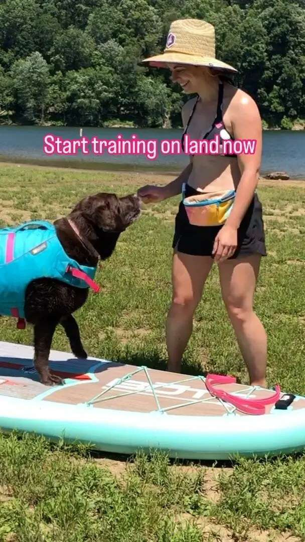 Does your dog SUP? 🏄🏻‍♀️ Now is the perfect time to work on training your dog to stay on the board. 

Step one… teach “place” on the board on land. 

Place is actually a great enrichment training skill because it builds focus and teaches your dog how to be calm. 

It’s one of the lessons in my Canine Enrichment Mental Activity Pack, too! Need to learn about that? Let me know and I can send over the deets 🤓